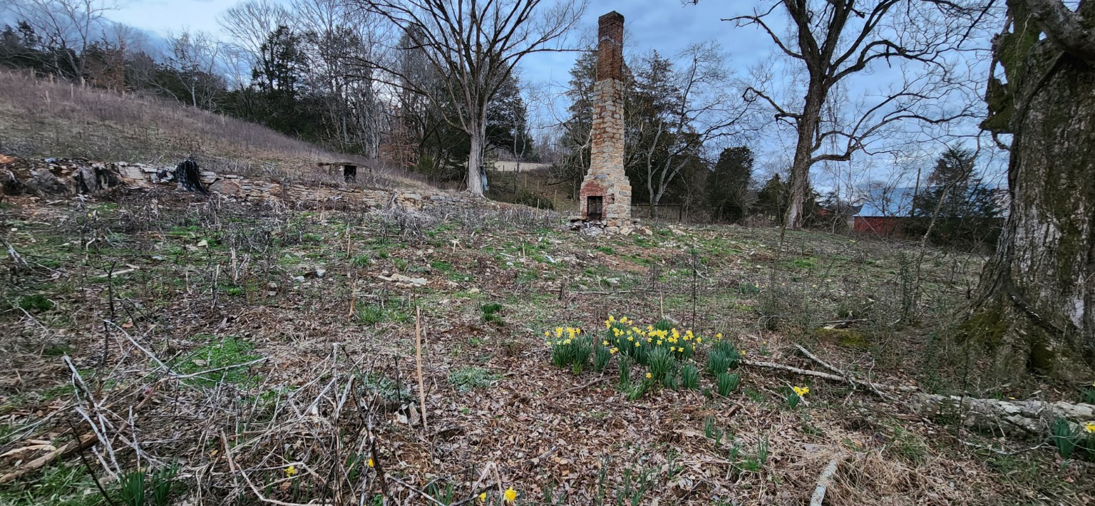 The Old Chimney on the hillside